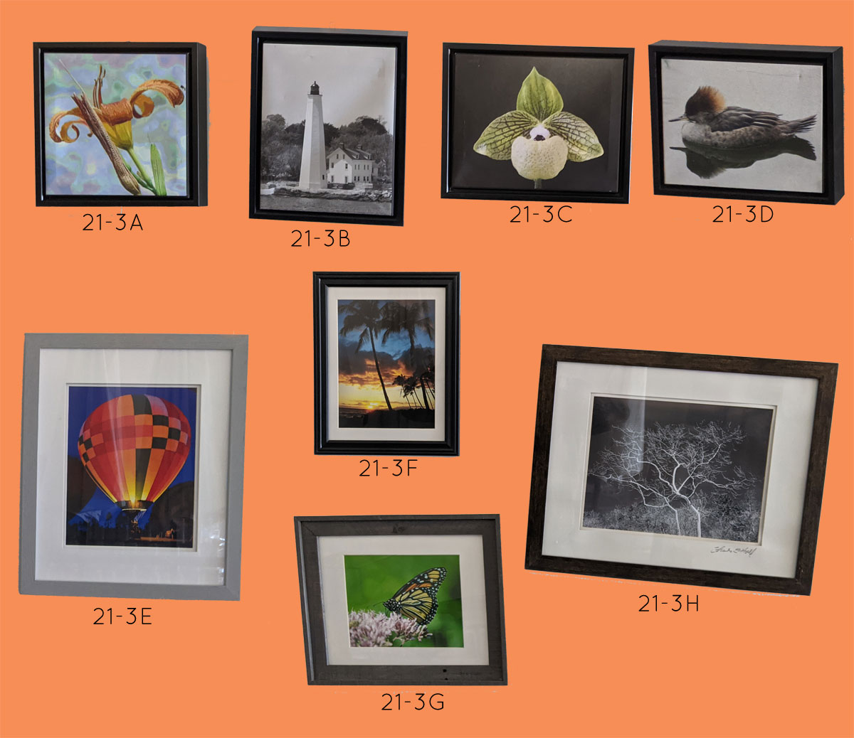 Artwork from Charle & Harold’s Exhibit