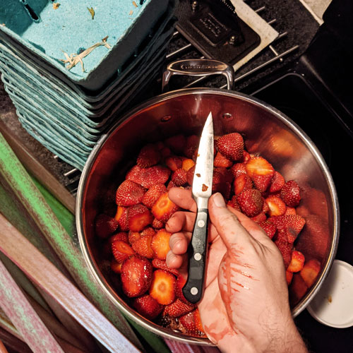 fragola