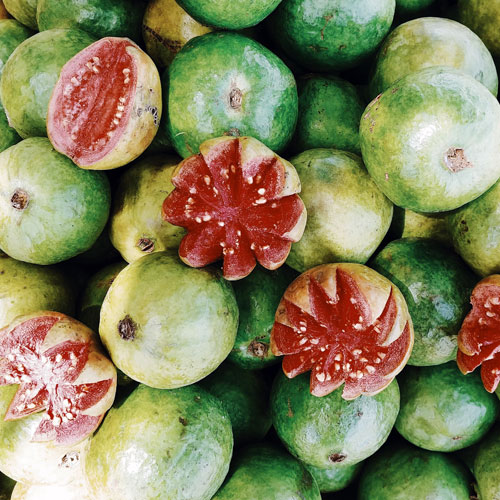 guava-solafiore