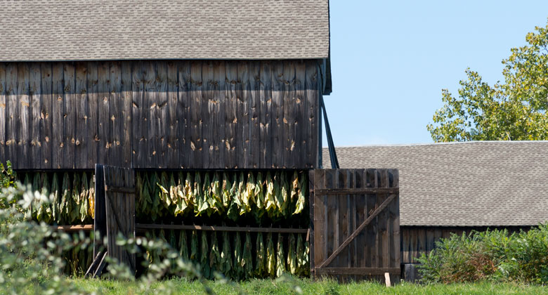 Tobacco Barn