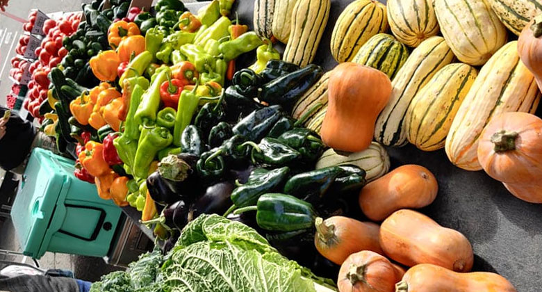 Community supported agriculture at luppoleto photo