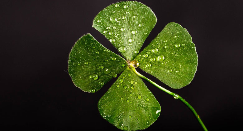 Traditional irish music session photo