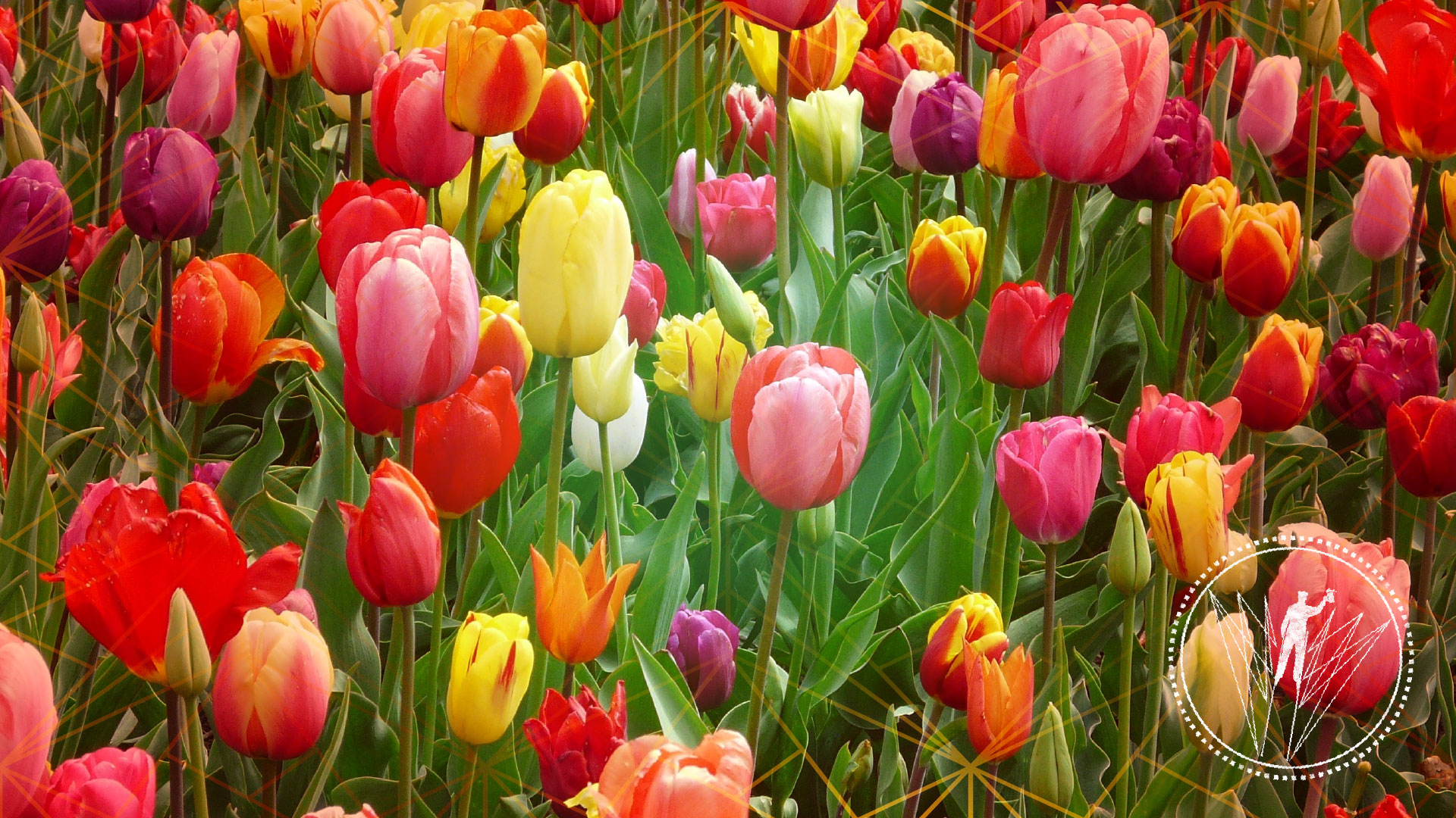 Closed for Easter image