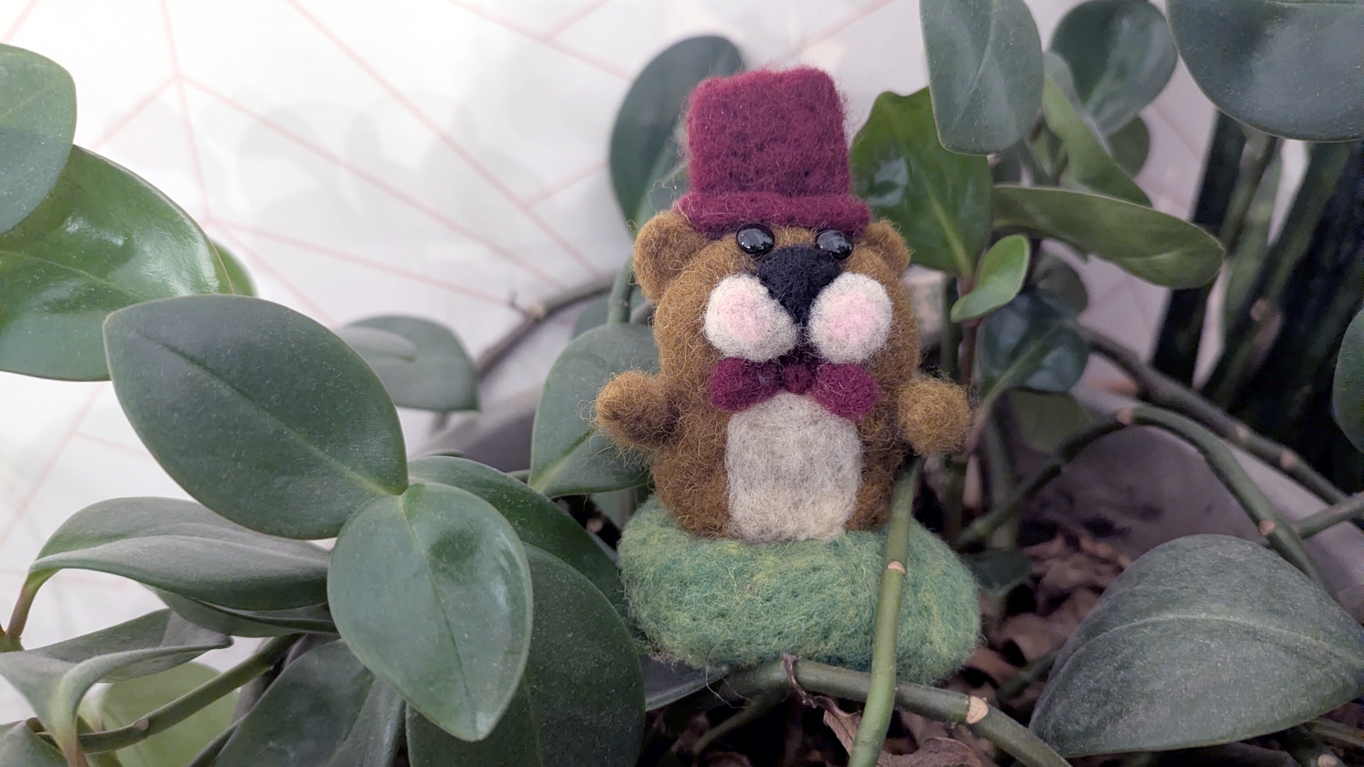 Needle Felting Class image